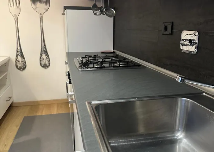 Sauro 12 * ボローニャ