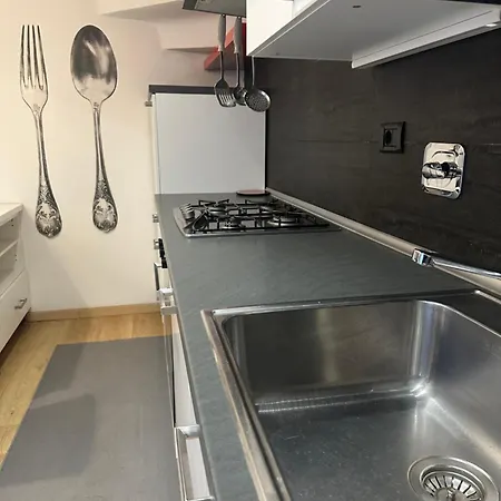 Sauro 12 * 博洛尼亚